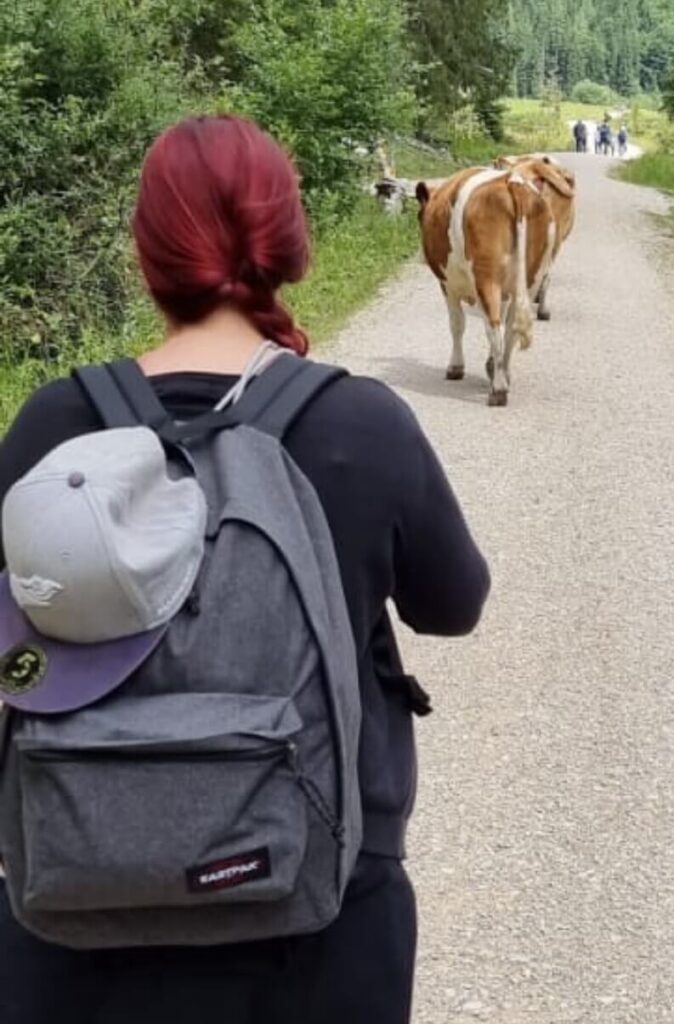 Bild von Marie-Claire Eibner, von hinten, mit Rucksack auf dem Rücken. Im Hintergrund läuft eine Kuh auf dem Feldweg,